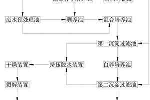 光合生物介导的废水综合生态处理系统和方法