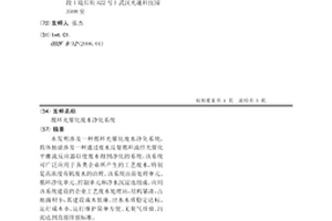 循环光催化废水净化系统