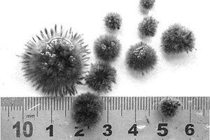 用于废水处理的柔性生物球及其培养方法