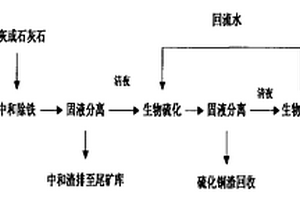 含铜铁高浓度矿山酸性废水处理工艺