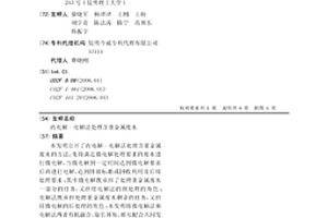 内电解-电解法处理含重金属废水