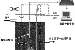 基于智能化SBR电极工艺的印染废水高效脱毒梯度处理方法