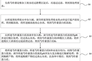 从马铃薯淀粉加工废水中回收蛋白质的方法