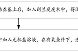 复合菌剂以及兰炭废水的处理方法