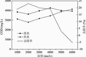 高COD高盐度制药废水的生物处理组合工艺