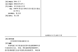 用松树叶的废水除臭方法