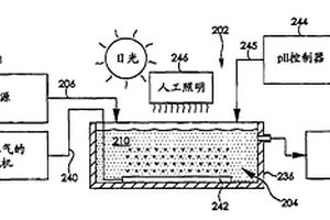 通过趋光异养微生物生长处理废水的系统和方法