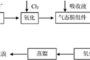从含溴料液或废水中提取/富集溴素的方法