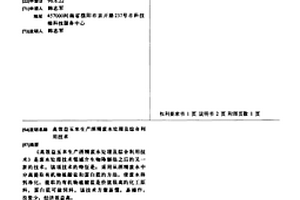 高效益玉米生产酒精废水处理及综合利用技术
