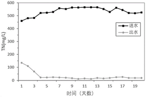 用于高盐废水脱总氮的复合功能菌剂及其应用