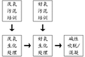 生物-物化联用技术处理高盐泡菜清洗废水的方法