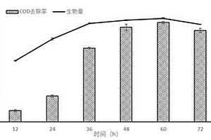 季也蒙毕赤酵母菌及处理高盐废水的方法
