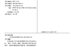 用柏科植物树叶进行废水除臭方法