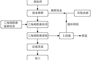 海洋微藻培养与养殖废水净化相耦合产岩藻黄素的方法