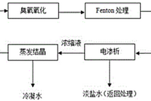 印染高浓废水无害化处理系统及方法
