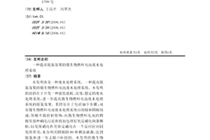 提高脱氮效果的微生物燃料电池废水处理系统