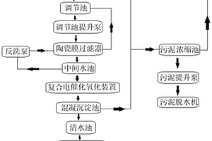 低成本的兰炭废水处理系统及方法
