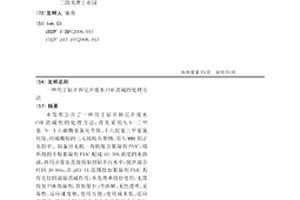 用于钻井和完井废水COD消减的处理方法