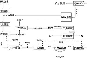 火力发电厂脱硫废水的资源化处理工艺