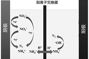 基于双室电解反应池的硝酸盐废水处理方法