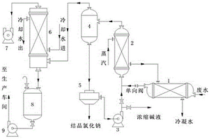 用于四丁基脲生产废水处理的装置