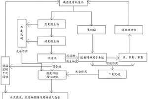 高浓度有机废水碳中和、零排放处理工艺