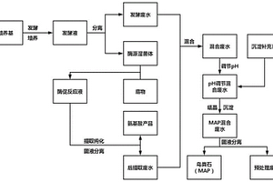 生物酶法生产氨基酸产生废水的综合处理方法及在制备鸟粪石中的应用