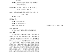 含氨废水处理微生物菌剂及其制备方法