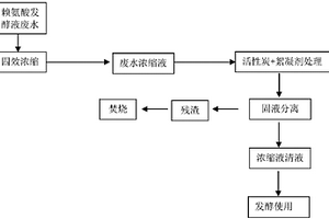 赖氨酸发酵液废水浓缩液的处理方法和发酵生产赖氨酸的方法