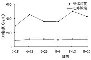 齿果酸模在处理畜禽养殖废水中的应用