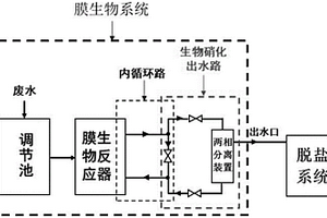 ADC发泡剂生产废水的处理系统