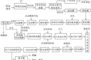 盐碱地排盐废水综合治理的方法