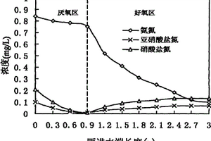 应用人工湿地处理循环海水养殖中废水的方法