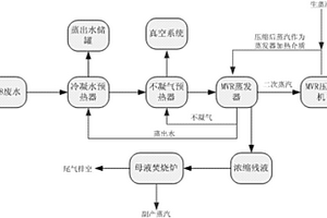 苯胺基乙腈生产废水的处理系统