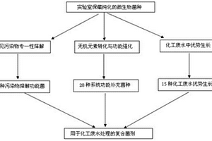 用于化工废水处理的复合微生物菌剂及其筛选和制备方法
