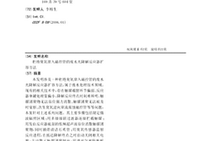 杜绝臭氧窜入磁控管的废水光降解反应器扩容方法