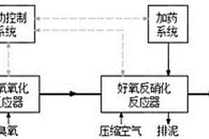 臭氧氧化和好氧反硝化脱氮的印染废水深度处理联合工艺