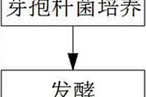 酵母废水资源化生产多功能生物有机肥