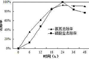 一株高盐异养硝化-好氧反硝化除磷的盐弧菌及其在废水处理中的应用