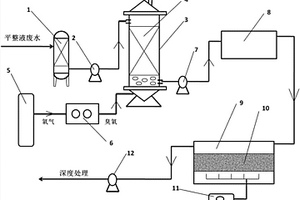 平整液废水臭氧生化耦合的处理方法和装置