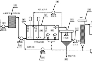 电解催化氧化-A2/O-BAF废水处理装置