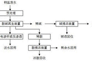 高浓度钠盐废水的资源化处理系统、处理方法及应用