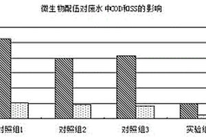 净化发酵废水的生化制剂及其制备方法
