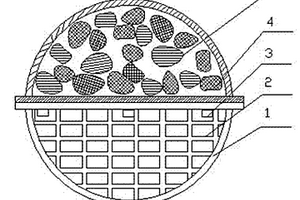 磁载体生物膜反应器及其用于废水污泥减量化处理的方法