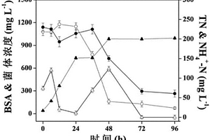 一株高效氨化细菌及其在含有机氮废水处理中的应用