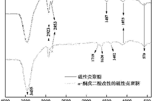 α-酮戊二酸改性的磁性壳聚糖、制备方法及其在含镉废水处理领域中的应用