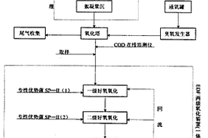 臭氧+生化法处理含天然气防冻剂废水工艺