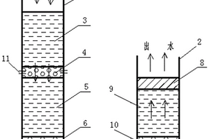 盐废水快速处理系统