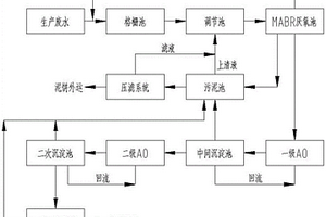 内脏提取类制药废水处理系统