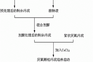 快速培养适于制药废水处理的厌氧颗粒污泥的方法